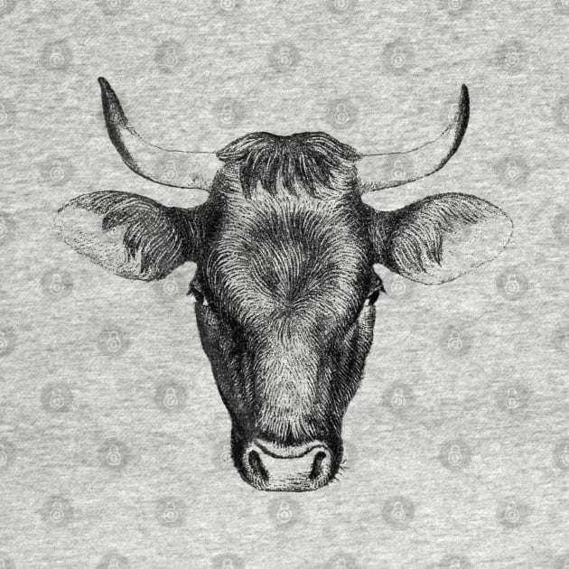 Bull Head Black & White Illustration by Biophilia